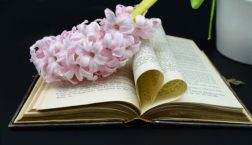 Book Bible Hyacinth Heart Pages - neelam279 / Pixabay